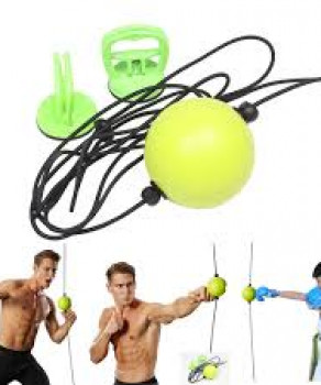Punch Trainer QUICK PUNCHER BW30