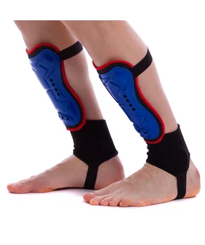 Gardieni de fotbal   U0865