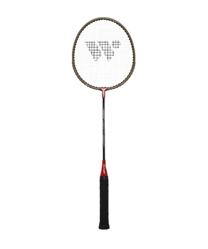Racheta De Badminton  WISH Alumtec A316