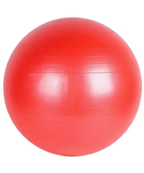 FItball +pompa d-65 cm 826065