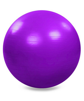 Ball pentru fitness +pompa d-65 cm 826065