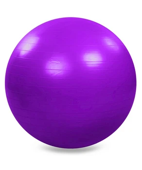 Fitball +pompa d-65 cm 826065