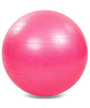 Fitball +pompa d-65 cm 826065