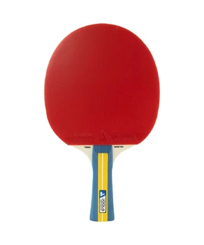 Paleta de tenis  Joola  Team  Master 52001