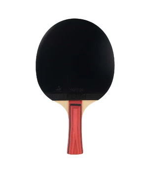 Paleta de tenis MATCH JOOLA 53020