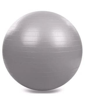 Fitball +pompa d-65 cm 826065